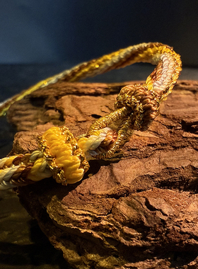 2026马年男女本命年手绳