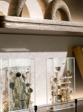 自然科学主题陈设软装样板房书架书柜花艺植物标本摆件道具装饰书