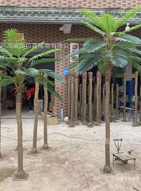 针葵树小椰子树盆栽 室内外大型绿植假树摆件棕榈树盆景装饰