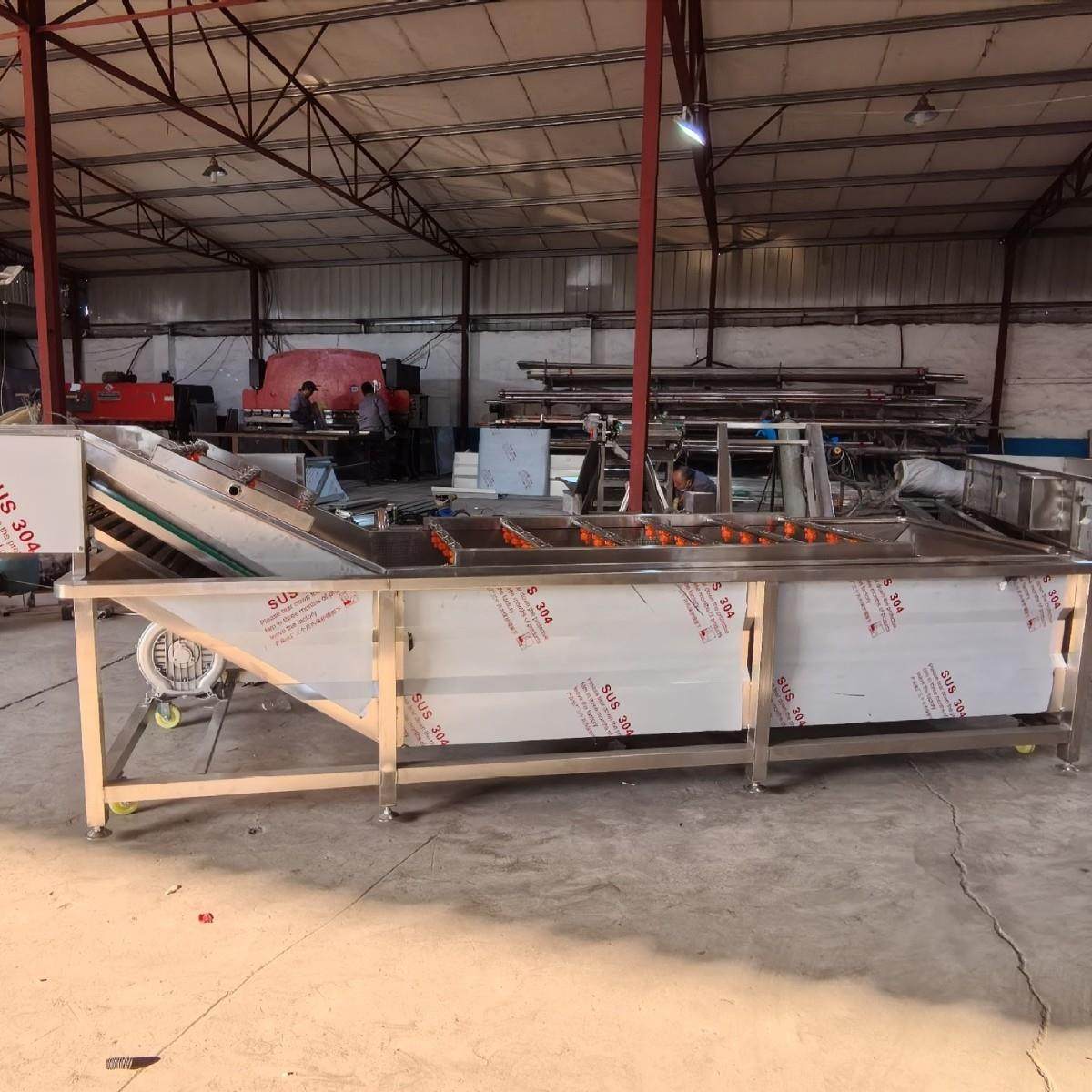 海藻全自动清洗机农副产品冲洗机器果蔬气泡清洗机多少钱,淘宝优惠券,粉丝福利购,淘宝优惠卷