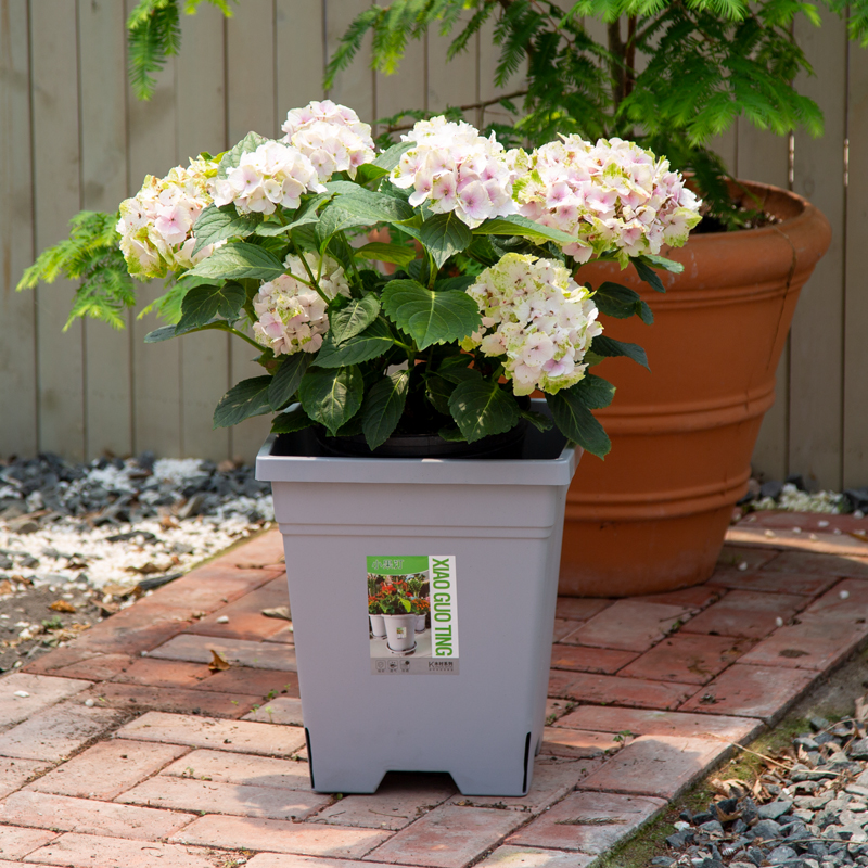 花盆超大号方形控根月季绣球庭院植物种栽树加厚透气排水10加仑盆 - 图1