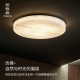 Italian high-end resin bedroom ceiling lamp