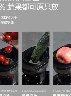 德国榨汁机家用渣汁分离全自动商用原汁机多功能大口径免切果汁机