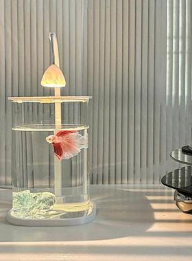 2025新款斗鱼缸小型网红玻璃缸客厅桌面观赏鱼造景办公室工位鱼缸