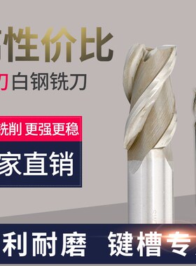 加硬超硬直柄白钢立铣刀3刃 高速钢白钢洗刀金属铁专用三刃刀具