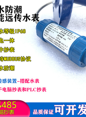 RS485不锈钢远传水表304耐酸碱IP68防水MODBUS智能电子远传热水表