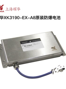 上海耀华XK3190-EX-A8防爆仪表本安电池本安电源电子秤显示器电池