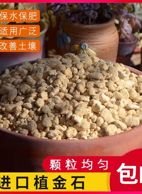 植金石兰花专用石料日本进口原装颗粒石萨摩土兰花铺面拌土营养土