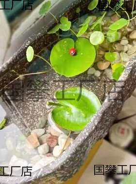 古法鱼缸养鱼缸仿石头水培池睡莲碗莲盆客厅花盆陶瓷小鱼缸乌龟缸