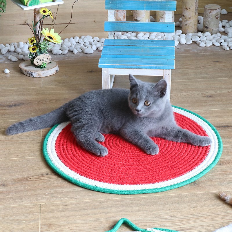 新款编织棉绳猫抓垫自嗨球一体睡觉垫子可水洗磨爪不掉渣凉席猫窝 - 图2