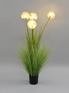 仿真蒲公英芦苇盆景灯户外景观装饰绿植盆栽灯室内创意装饰景观灯