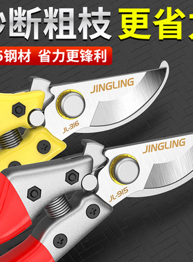 园艺剪树枝专用剪刀园林园艺修枝剪家用剪蒜茶叶修花修剪树枝剪刀