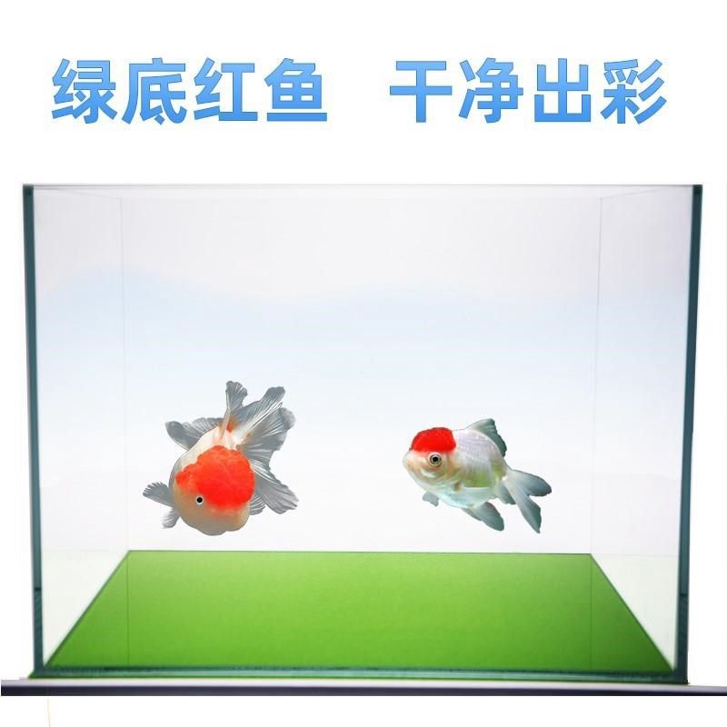 鱼缸垫软垫底板底座水族箱超白缸专用垫子鱼缸底部仿真草坪造景,淘宝优惠券,粉丝福利购,淘宝优惠卷