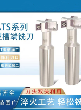 ATS数控T型槽加工中心CNC侧铣开槽T型槽铣刀杆21 25 32 36 40 45