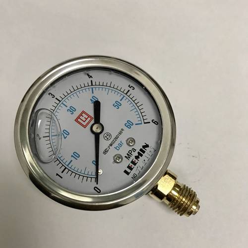 LH LEEMIN 耐震压力表 YTN-63-I 0-6mpa G1/4 直径63mm 压力6mpa - 图1