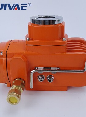睿羽防爆精小型电动执行器220V电动头智能调节型开关型潜水防水型
