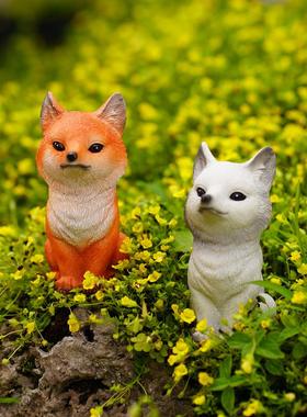 九尾狐狸多肉长毛可爱小尾巴花盆造景装饰品猴尾柱花园微景观摆件