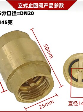 全铜加厚立式止回阀4分DN15单向阀 弹簧水表前止逆阀止回流6分1寸