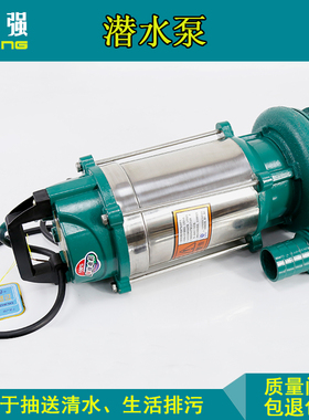 潜水泵220V/380V工用家用清水高扬程农用灌溉不锈钢排污潜水泵