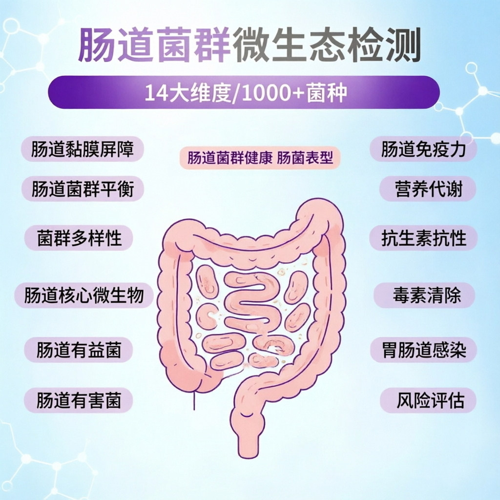 肠道菌群微生态检测成人/儿童/婴幼儿/免疫/代谢/无创粪便居家采