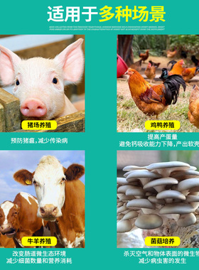 臭氧发生器养殖场环境处理器消毒机养猪场除氨气猪圈杀菌空气净化