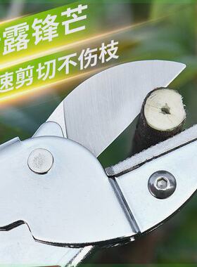 强力SK5修剪树枝剪刀果枝剪修花修枝剪刀粗枝剪花枝园林园艺剪刀