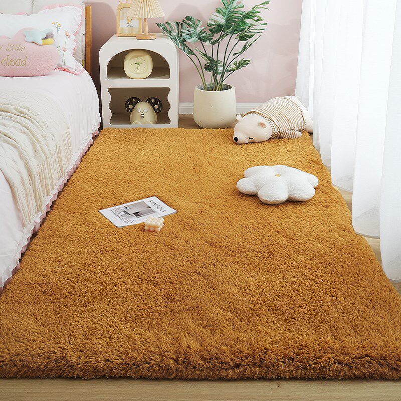 Carpet bedroom ins style warm color master bedroom bedside blanket winter H season warm floor mat thick plush under bed foot pad