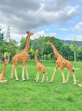 户外发光长颈鹿雕塑幼儿园林景观玻璃钢雕塑仿真动物落地装饰小品