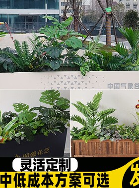 墙角室内造景地台店内装饰室w外假植物绿色的禄植盆栽仿真绿植花