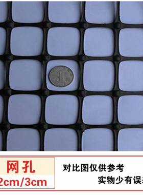 加厚塑料网格围栏网防护网隔离网养殖拦鸡网护栏网果园圈玉米栅栏