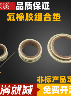 304不锈钢氟胶组合垫片密封圈组合圈高压油管通用耐高温耐腐蚀