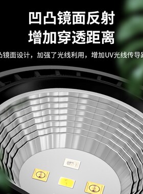 乌龟晒背灯乌龟灯专用uvb全光谱不插电充电式定时养乌龟小灯泡uva