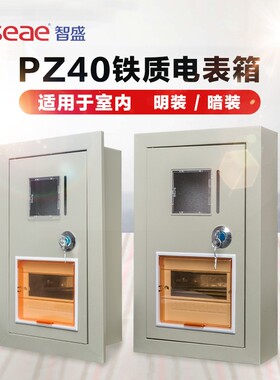 电子式单相电表箱塑料透明PZ40铁质出租房明暗装电表箱家用配电箱