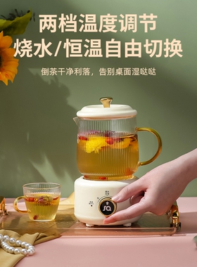多功能小型养生壶家用保温办公室煮茶器烧水全自动加厚玻璃煮茶壶