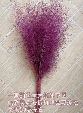 网红粉黛乱草子干花花束 橱窗装饰B婚礼背景布置 客厅摆花拍摄道