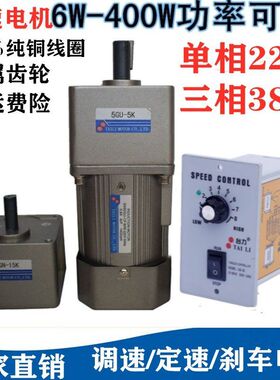 220V减速电机微小型家用两相电机马达60W120W250W400调速电机低速