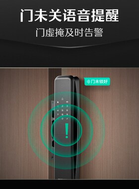 德施曼指纹锁家用防盗门密码锁全自动智能锁Q50电子锁