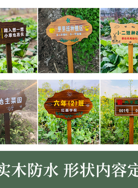 实木植物标签牌菜园幼儿园木质插地牌F户外指示标识牌告示木牌园