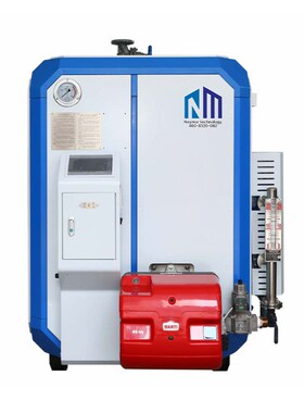 低氮燃气蒸汽发生器 全预混商A用免报检锅炉江苏工业蒸气发生器