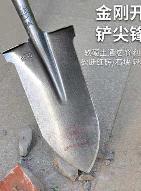 铁锹锰钢加厚种树小铁铲户外挖土农用种菜铁锨木柄铲子尖头土泥锹