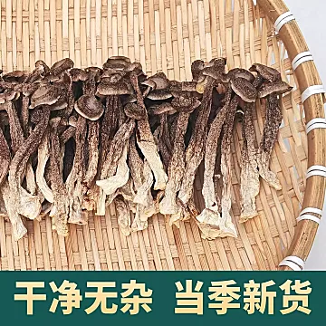 鹿茸菇干货香菇蘑菇云南脆脆菇[10元优惠券]-寻折猪
