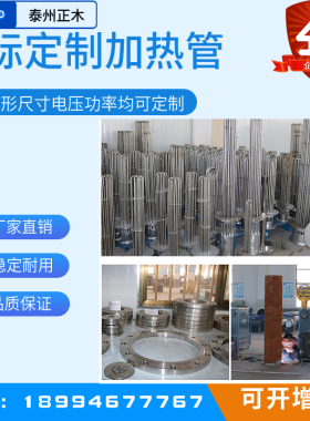 非标定制发热电热管大功率380V定做异形干烧翅片不锈钢加热棒220V