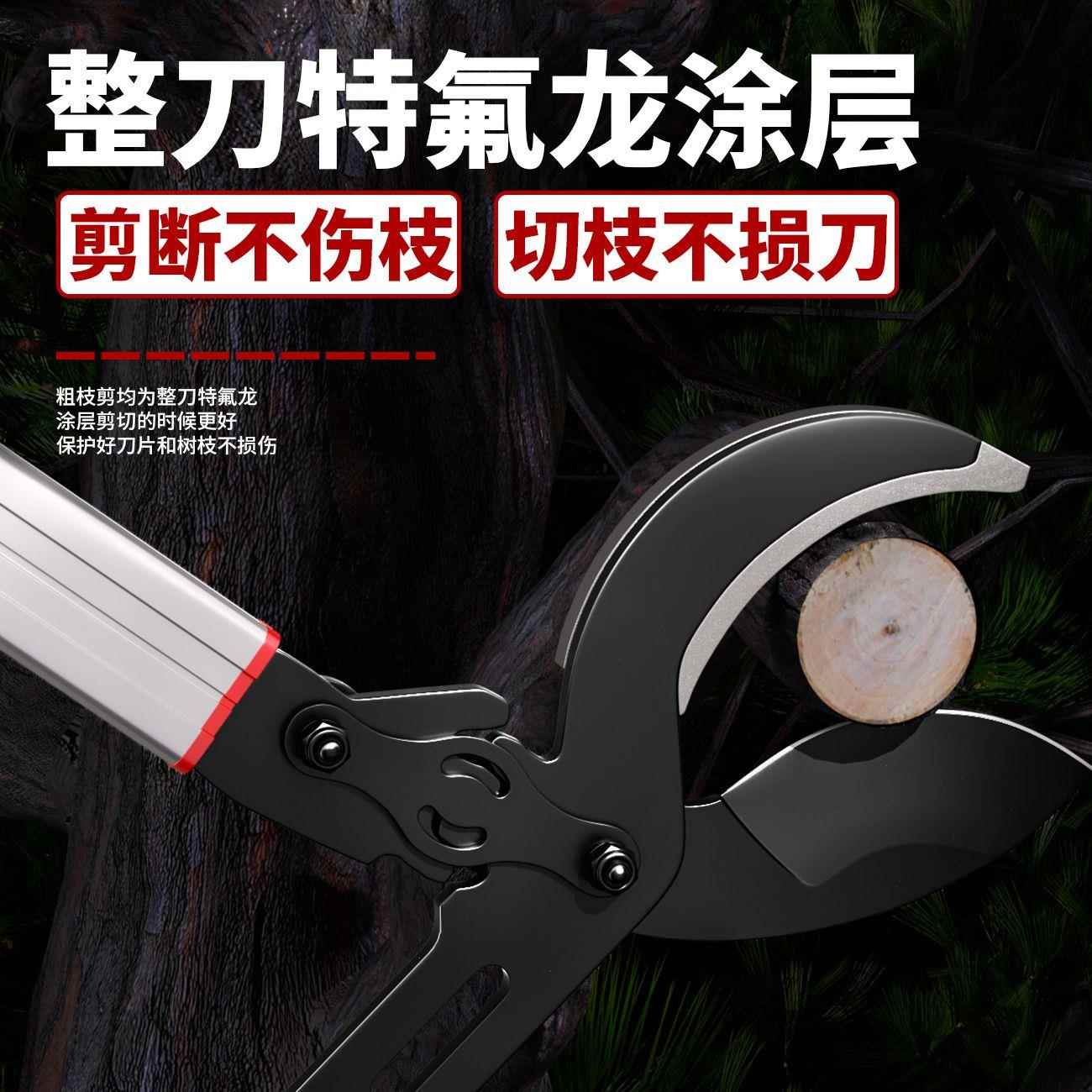 剪枝剪刀果树修枝专用树枝剪园林修剪神器强力修大力粗枝大枝省力 - 图3
