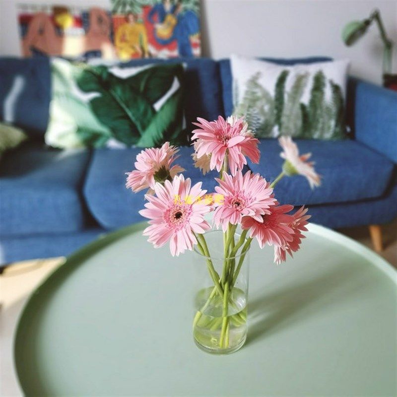 特大号透明圆柱形玻璃金鱼缸创意超白生态玻璃鱼缸水培花瓶包邮,淘宝优惠券,粉丝福利购,淘宝优惠卷