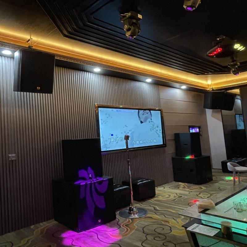 12-inch professional sound box, conference room audio, stage audio equipment, KTV audio bar special 924 audio