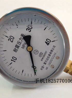 雷尔达YN-100耐震压力表真空表抗震液压油压表0-1 1.6 2.5 40MPA