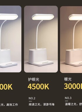 小台灯护眼学习专用宿舍学生儿童书桌充电式床头写字阅读灯防近视