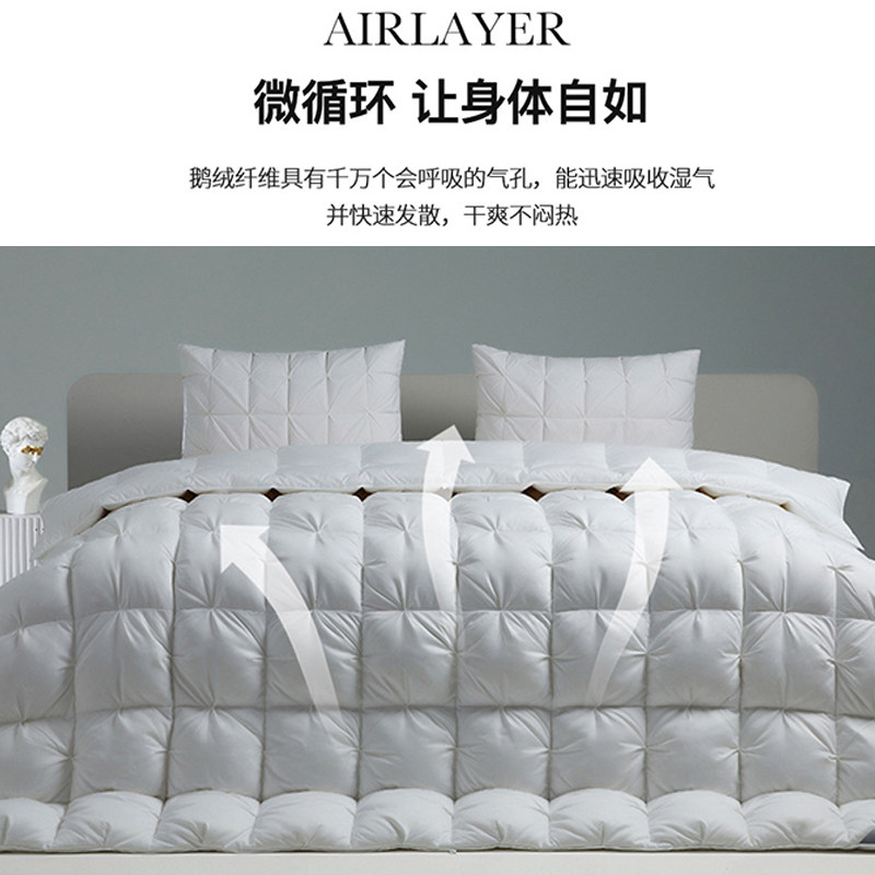匈牙利进口羽绒被95白鹅绒五星级酒店春秋绒丝被芯冬被子加厚保暖,淘宝优惠券,粉丝福利购,淘宝优惠卷