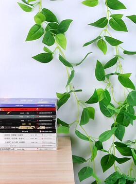 绿萝爬墙固定器绿植花爬t藤卡子植物挂钩卡扣夹子粘勾透明缠绕线