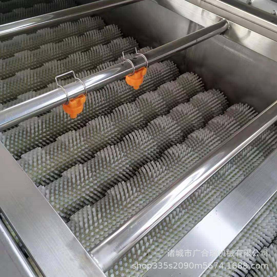 商用平行毛辊清洗机生蚝扇贝毛刷去泥清洗设备苹果柑橘打蜡机械,淘宝优惠券,粉丝福利购,淘宝优惠卷